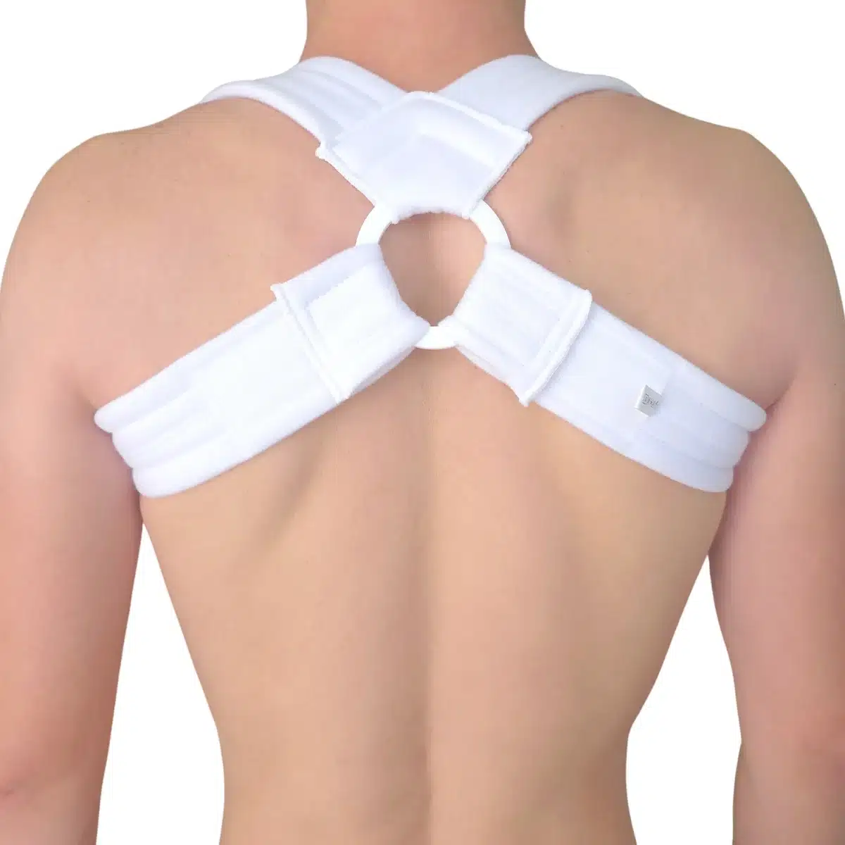 GMed Clavicula.webp